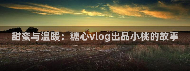 糖心vlog蜜桃君：甜蜜与温暖：糖心vlog出品小桃的故事