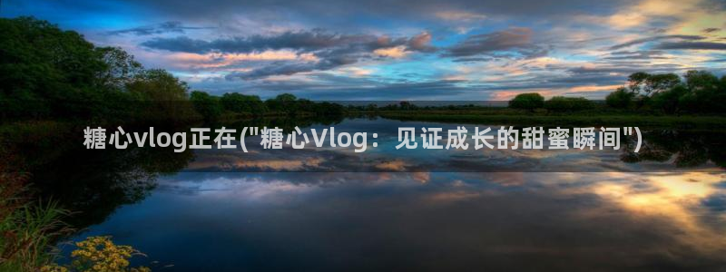 糖心vlog金善雅照片：糖心vlog正在(\