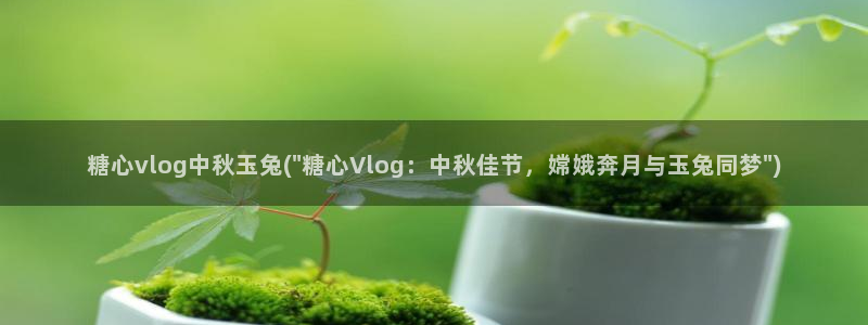 糖心vlog蜘蛛被c