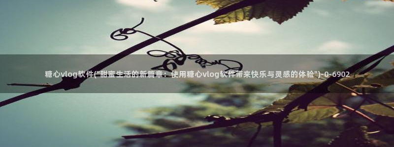 糖心vlog合集网站