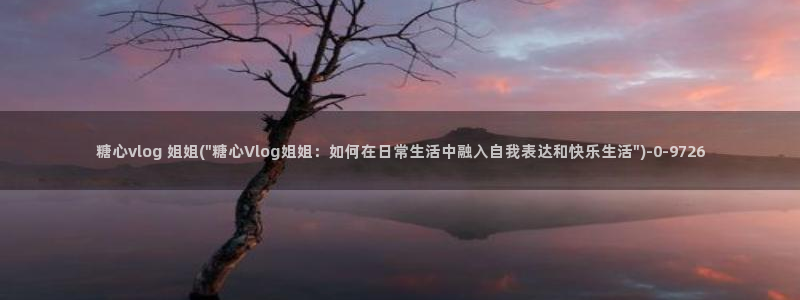 糖心vlog网址是多少