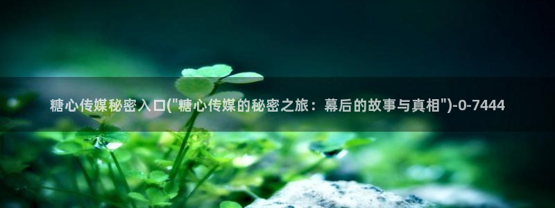 糖心vlog最新