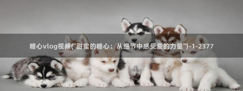 糖心vlog免费版官网：糖心vlog视频(\