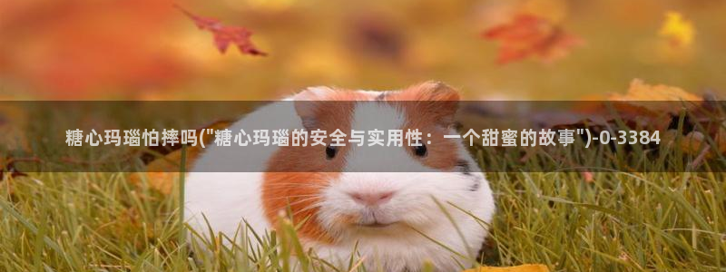 糖心vlog破解免费在线观看