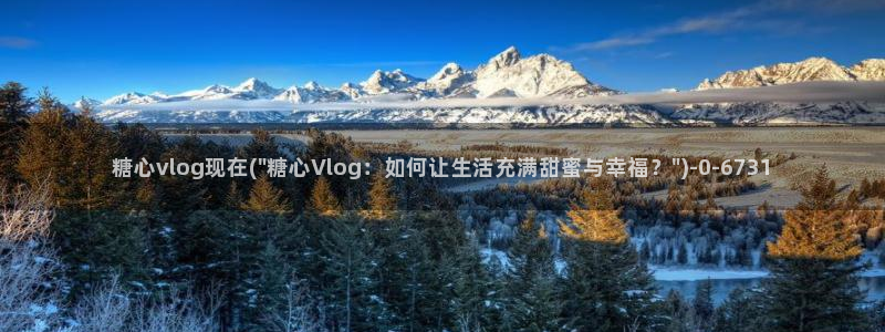 糖心vlog大全