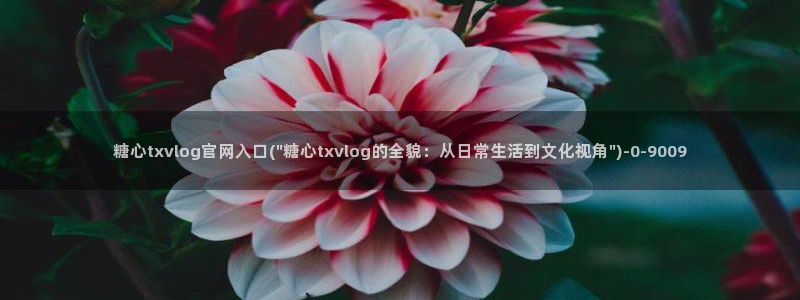 糖心vlog精品国产免费入