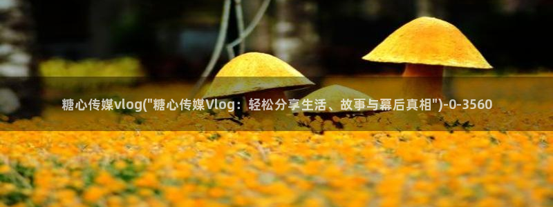 糖心vlog怎么免费看