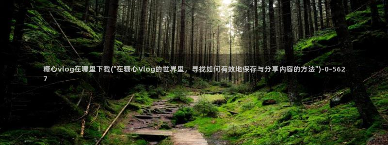 糖心vlog下载软件