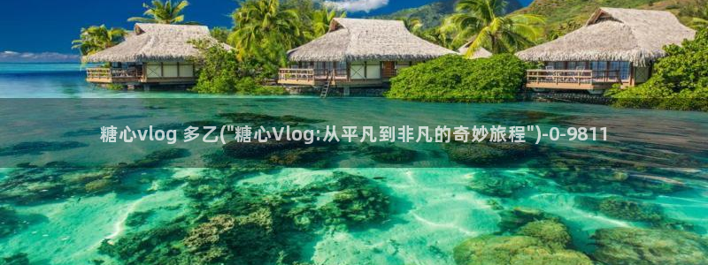 糖心vlog在线免费看