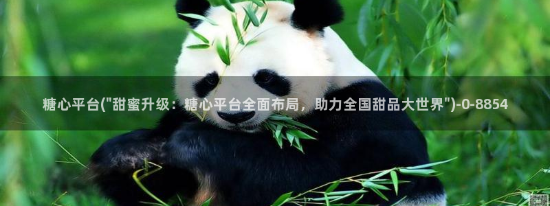 什么是糖心vlog