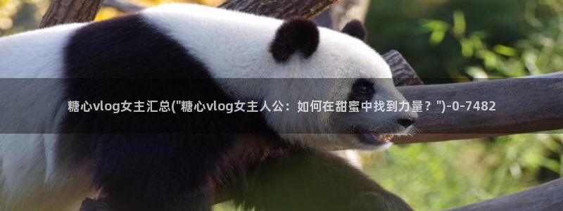 糖心vlog苹果下载