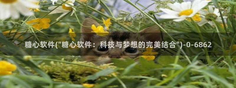 白桃少女糖心vlog