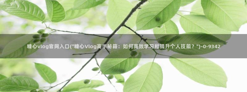 糖心vlog美杜莎