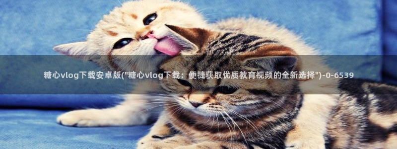 糖心vlog精品一区二区三区