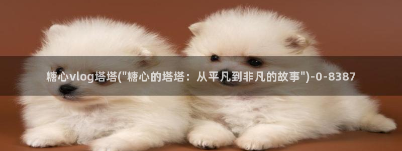 糖心vlog com