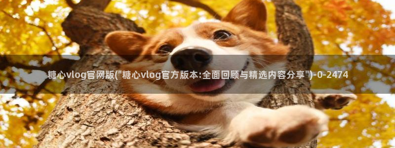 糖心vlog有病毒吗