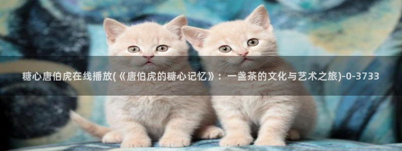 唐伯虎糖心vlog约高三