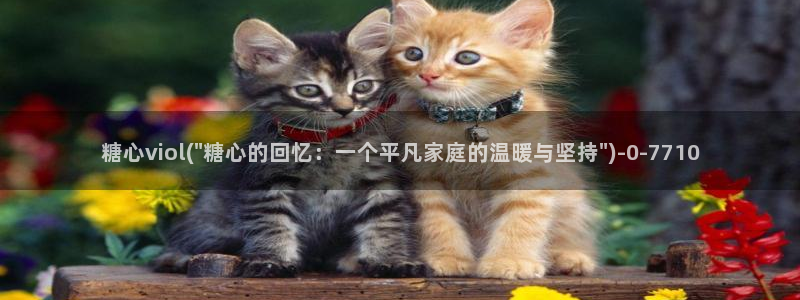 糖心vlo go